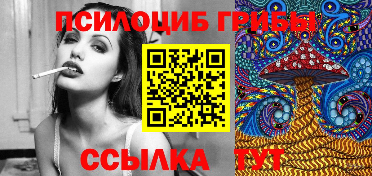 Псилоцибиновые грибы прущие грибы  Вход с VPN  Псилоцибиновые грибы MAGIC MUSHROOMS  Ковров 