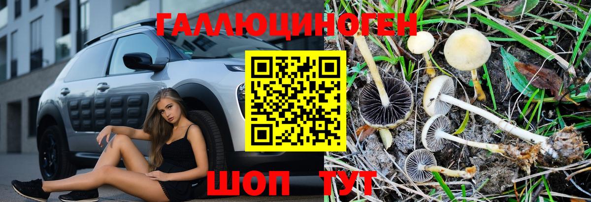 Галлюциногенные грибы MAGIC MUSHROOMS Ковров