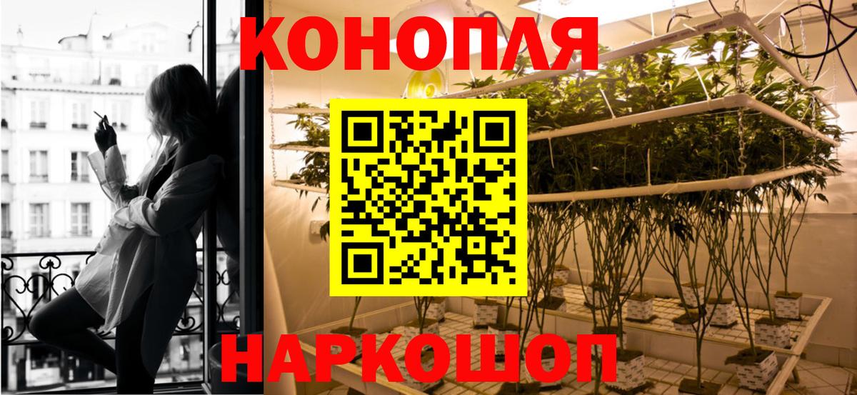 Шишки марихуана сатива Ковров